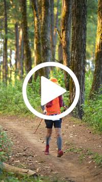 BIB:  <button type="button" onclick="openModal(27293376)" class="btn btn-primary btn-sm float-right" data-toggle="modal" data-target=".modal-high-quality">
                <i class="fa fa-download"></i> Download
                </button>